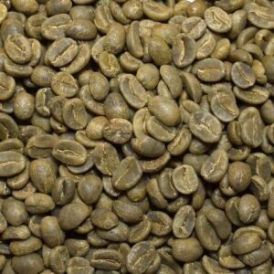 Wagagai peak (mount Elgoni) Arabica Coffee