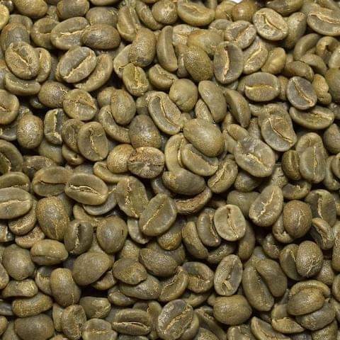 Wagagai peak (mount Elgoni) Arabica Coffee
