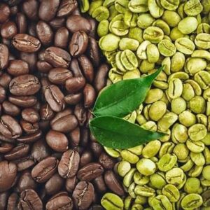 ROBUSTA BUDDU COFFEE-UGANDA PRICE