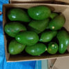 https://pearlofafrica.lu/