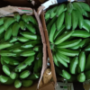 https://pearlofafrica.lu/