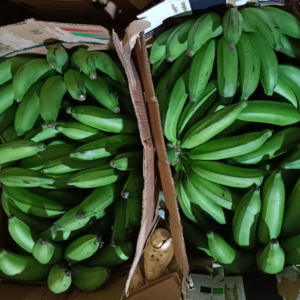 Matooke Box (Green Bananas)