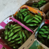 https://pearlofafrica.lu/