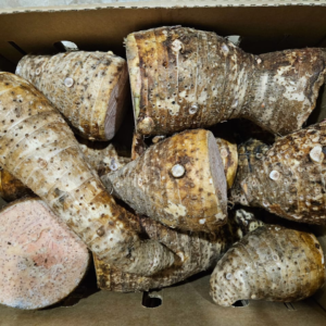 Uganda Yam (Mayuni)